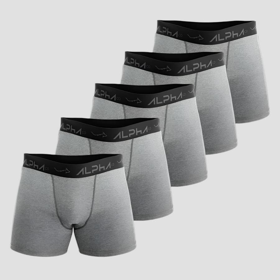 Kit 5 Cuecas Boxer Cotton Mescla Cinza - Alpha