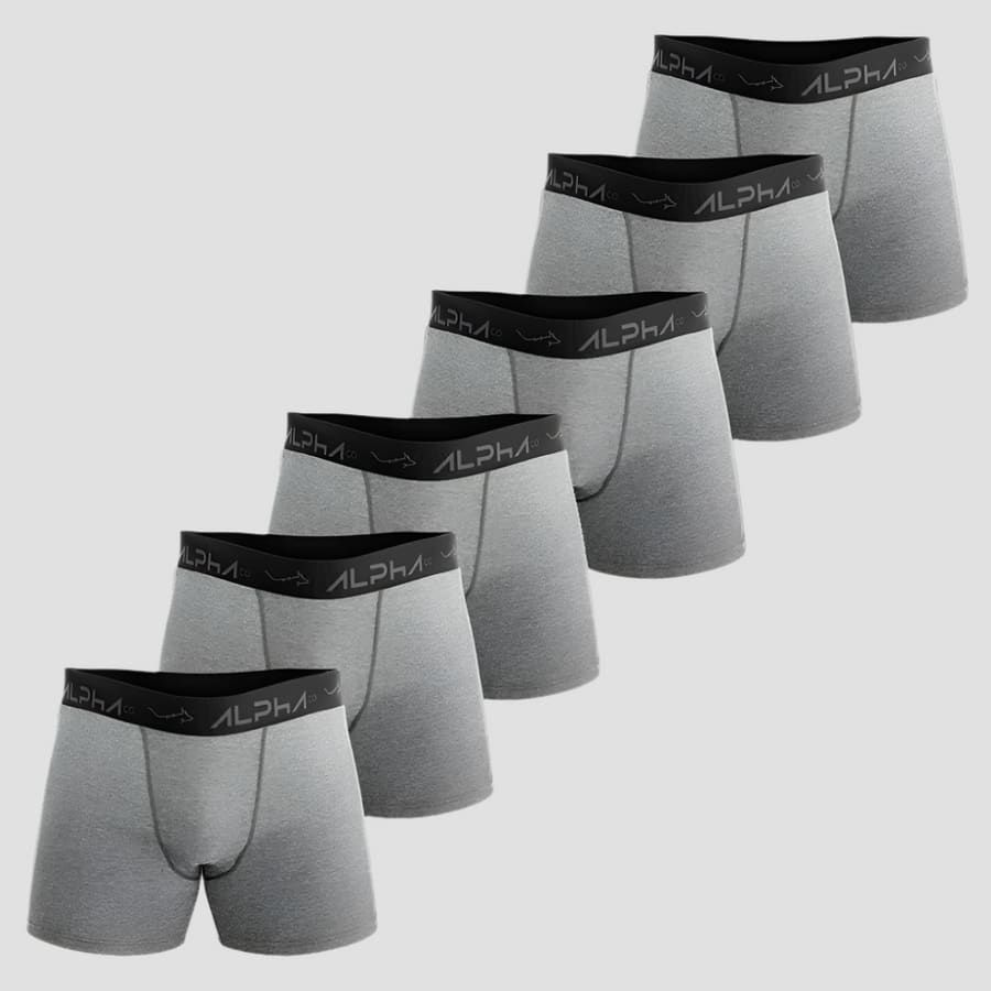 Kit 6 Cuecas Boxer Mescla Cotton Cinza - Alpha